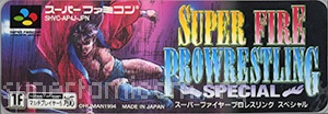 Super Fire Pro Wrestling Special