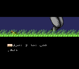 Ninja Gaiden Trilogy