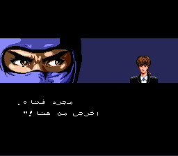 Ninja Gaiden Trilogy