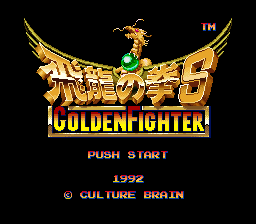 Hiryuu no Ken S - Golden Fighter