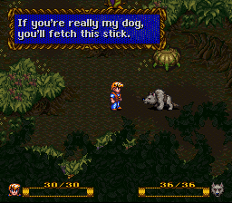 If you're really my dog, you'll fetch this stick.