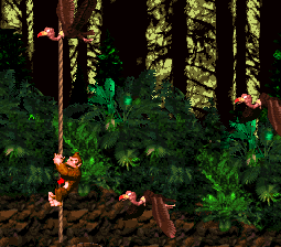 Donkey Kong on a rope dodging some Neckys.