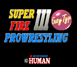 Super Fire Pro Wrestling 3 Easy Type