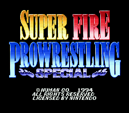 Super Fire Pro Wrestling Special