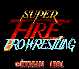 Super Fire Pro Wrestling