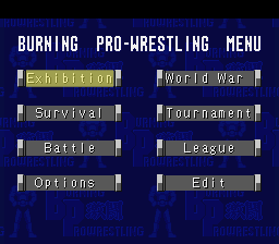 Gekitou Burning Pro Wrestling